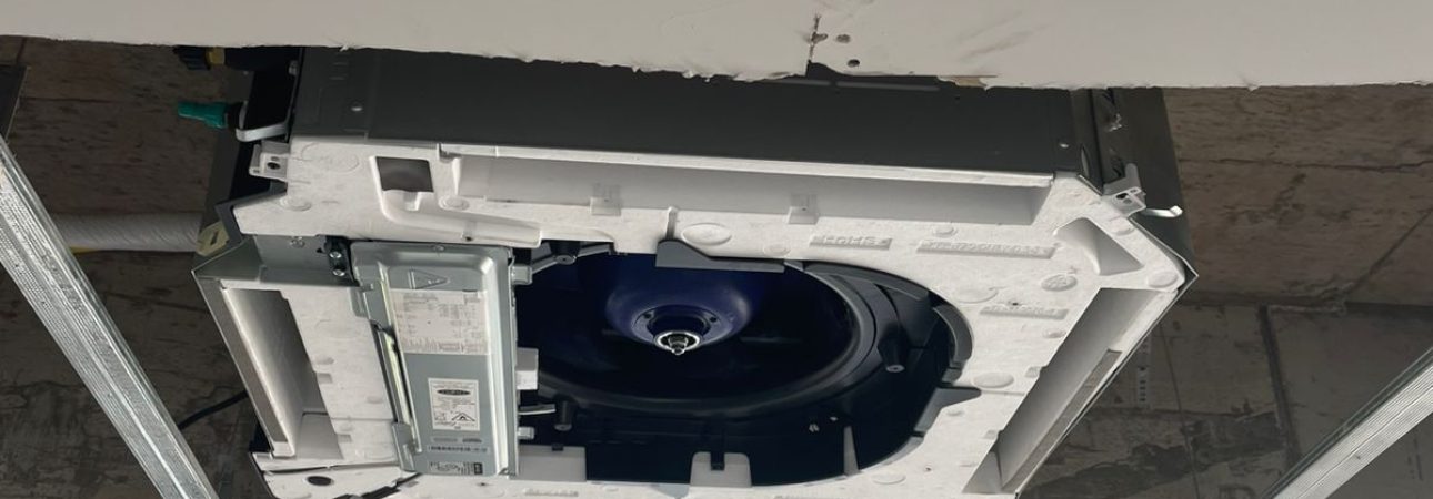 WhatsApp Image 2026-03-23 at 20.30.30